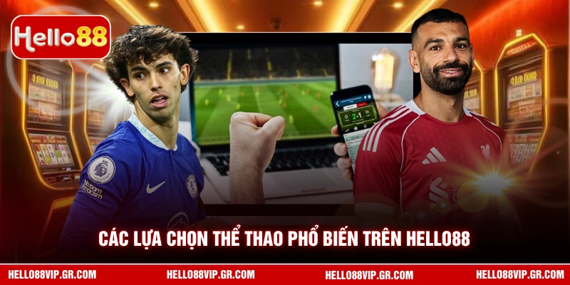 Các lựa chọn thể thao phổ biến trên HELLO88