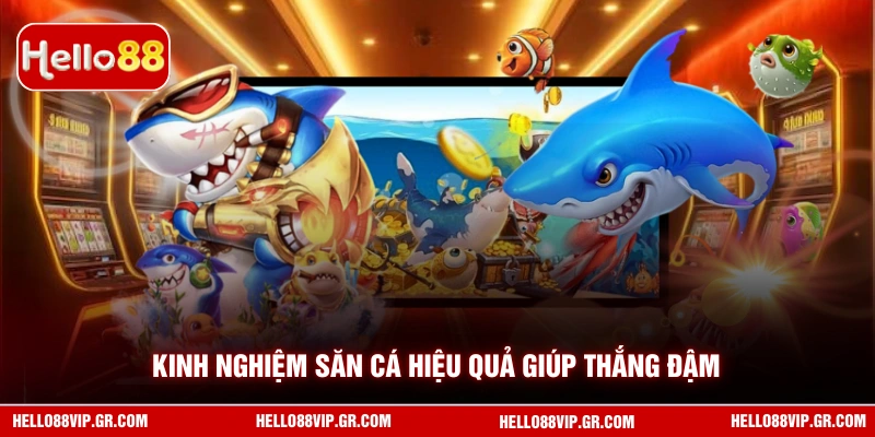 Kinh nghiệm săn cá hiệu quả giúp thắng đậm