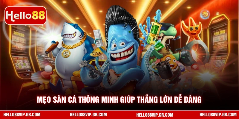 Mẹo săn cá thông minh giúp thắng lớn dễ dàng